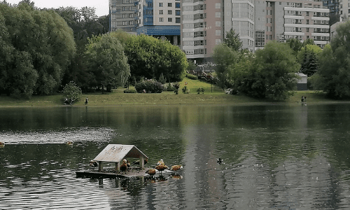 Строительство в водоохранной зоне