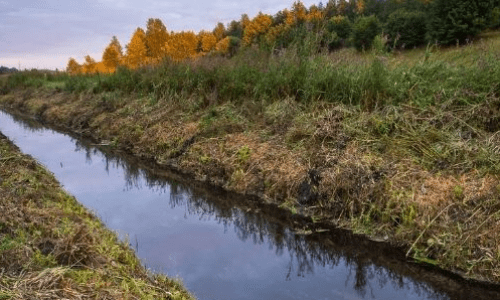 Исключение из списка особо ценных сельхозугодий