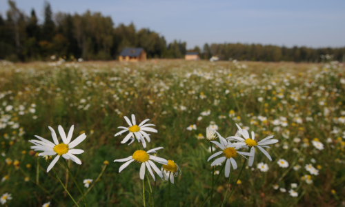 Установили юридический факт отсутствия мелиоративных систем на участках и исключили сведения о наличии мелиорации с Геопортала Подмосковья - Правовой центр Два М